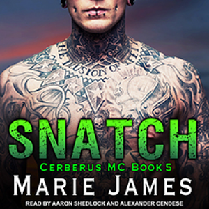 Snatch by Marie James