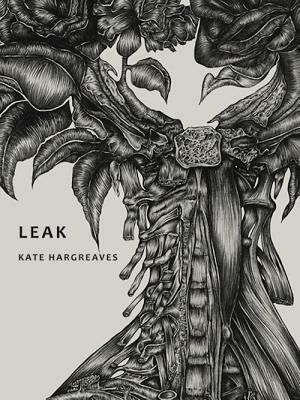 Leak by Kate Hargreaves