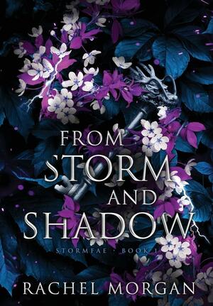 From Storm and Shadow by Rachel Morgan