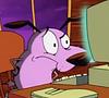 joeybalds's profile picture