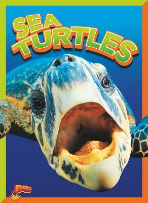 Sea Turtles by Gail Terp