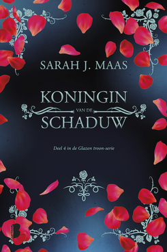 Koningin van de Schaduw by Gerdien Beelen, Sarah J. Maas, Willeke Lempens, Anne-Marieke Buijs