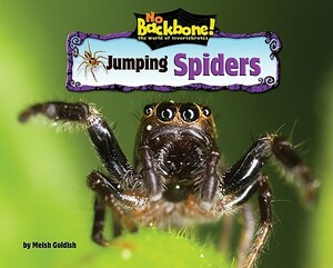 Jumping Spiders by Meish Goldish