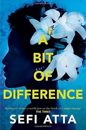 BIT OF DIFFERENCE PB by Sefi Atta