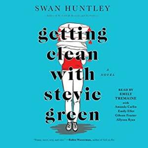 Getting Clean with Stevie Green by Swan Huntley