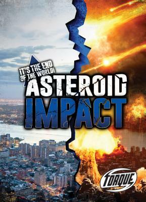 Asteroid Impact by Lisa Owings