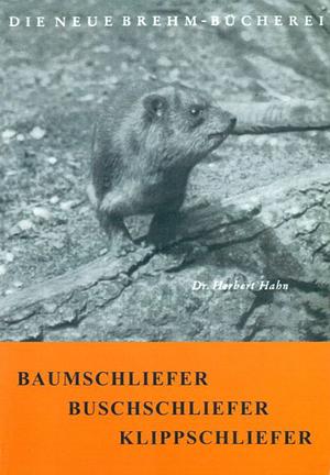 Von Baum-, Busch- und Klippschliefern. Den kleinen Verwandten der Seekühe und Elefanten by Dr. Herbert Hahn