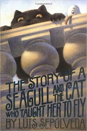 The Story of a Seagull and the Cat Who Taught Her to Fly by Luis Sepúlveda, Mustafa Delioğlu, Saadet Özen