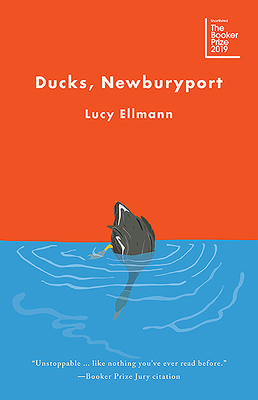 Ducks, Newburyport by Lucy Ellmann