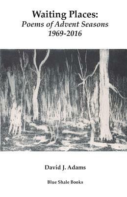 Waiting Places: Poems of Advent Seasons 1969-2016 by David J. Adams