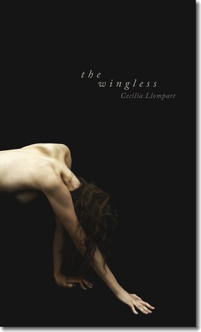 The Wingless by Cecilia Llompart