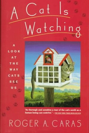 A Cat is Watching: A Look at the Way Cats See Us by Roger A. Caras