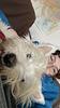 snoodle_'s profile picture