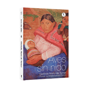 Aves sin nido by Clorinda Matto de Turner