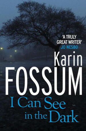 I Can See in the Dark by Karin Fossum, James Anderson
