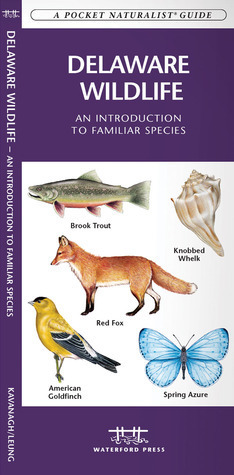 Delaware Wildlife: An Introduction to Familiar Species by James Kavanagh