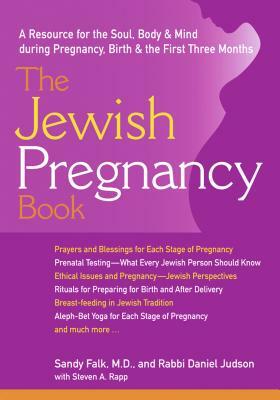 The Jewish Pregnancy Book: A Resource for the Soul, Body & Mind During Pregnancy, Birth & the First Three Months by Daniel Judson, Sandy Falk