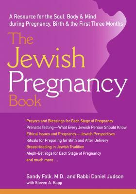 The Jewish Pregnancy Book: A Resource for the Soul, Body & Mind During Pregnancy, Birth & the First Three Months by Sandy Falk, Daniel Judson