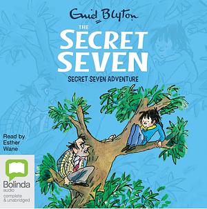 The Secret Seven Adventure by Enid Blyton