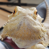 bookhoor5000's profile picture