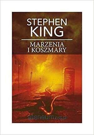 Marzenia i Koszmary by Stephen King