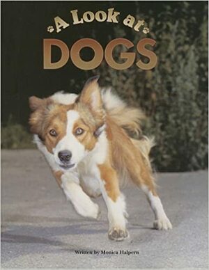 A Look at Dogs by Monica Halpern