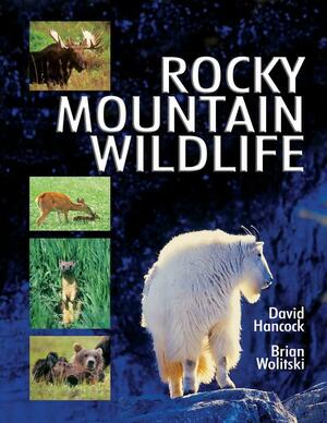 Rocky Mountain Wildlife by David Hancock, Brian Wolitski