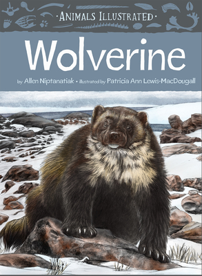 Animals Illustrated: Wolverine by Allen Niptanatiak