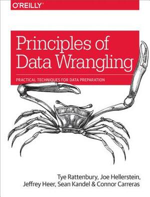 Principles of Data Wrangling: Practical Techniques for Data Preparation by Tye Rattenbury, Jeffrey Heer, Joseph M. Hellerstein