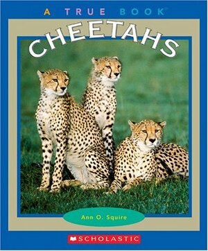 Cheetahs by Ann O. Squire