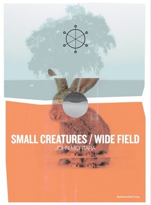 Small Creatures / Wide Field by Daniel Bullard-Bates, jamie mortara, Nils Davey, Josh Raab