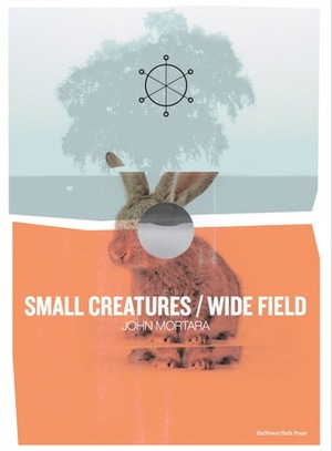 Small Creatures / Wide Field by Nils Davey, jamie mortara, Josh Raab, Daniel Bullard-Bates