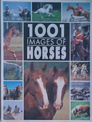 1001 images of horses  by Bertrand Leclair