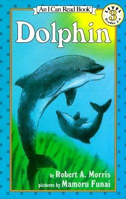 Dolphin by Robert A. Morris