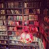 librarian88's profile picture