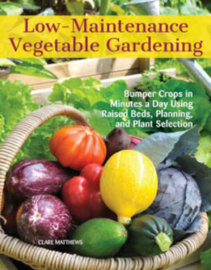Low-Maintenance Vegetable Gardening: Bumper Crops in Minutes a Day Using Raised Beds, Planning, and Plant Selection by Clare Matthews