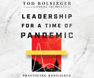 Leadership for a Time of Pandemic: Practicing Resilience by Tod Bolsinger