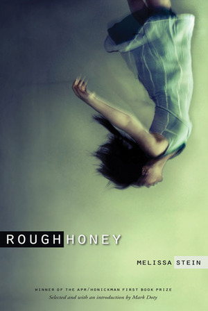 Rough Honey by Melissa Stein, Mark Doty