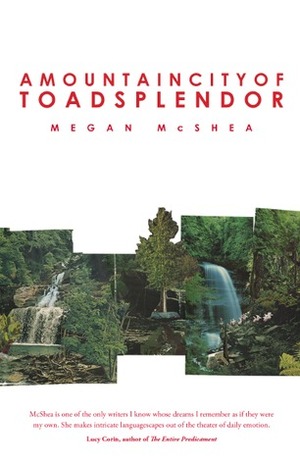 A Mountain City of Toad Splendor by Megan McShea