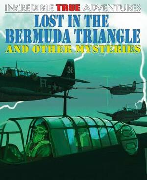 Lost in the Bermuda Triangle and Other Mysteries by David West, Anita Ganeri