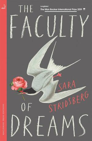 The Faculty of Dreams by Deborah Bragan-Turner, Sara Stridsberg