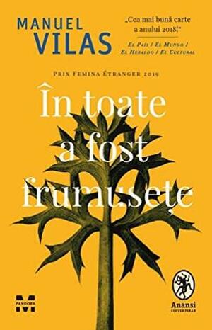 În toate a fost frumusețe by Manuel Vilas