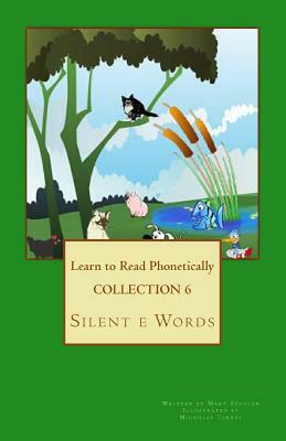 Collection 6: Learn to Read Phonetically: Silent e Words by Mary M. Schuler