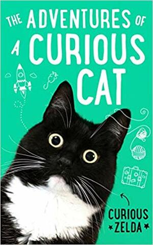 The Adventures of a Curious Cat by Matt Taghioff, Curious Zelda