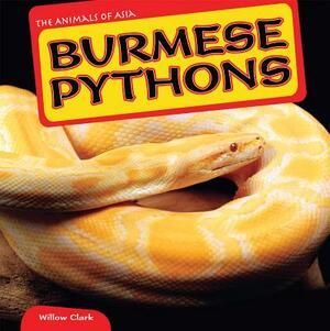 Burmese Pythons by Willow Clark