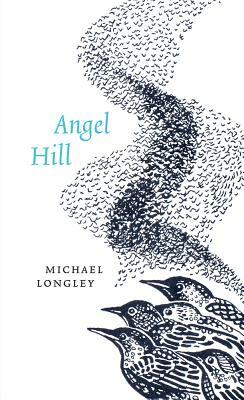 Angel Hill by Michael Longley