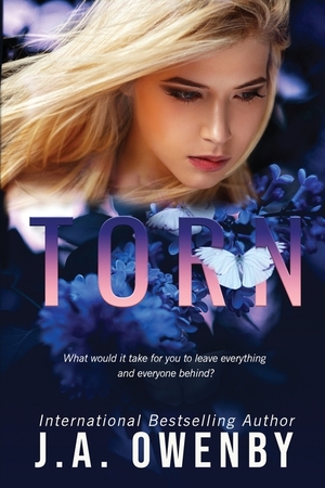 Torn by J.A. Owenby