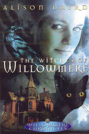 De heksen van Willowmere by Alison Baird