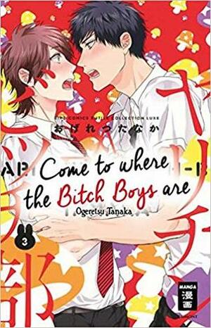 Come to where the Bitch Boys are - 03 by Ogeretsu Tanaka