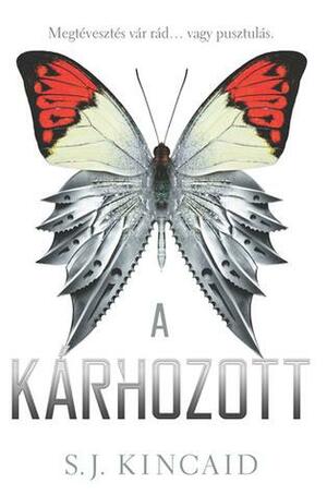 A kárhozott by S.J. Kincaid